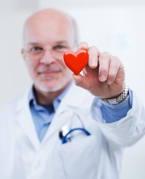Doctor holding an heart, cardiologist and cardiovascular diseases concept.