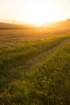 A harvested field in Germany in the sunset.