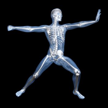 A medical visualisation of human anatomy. 3D rendered Illustration.