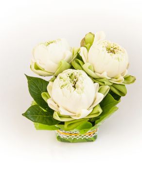 bouquet of white lotus and leaf for decor to respect to buddha