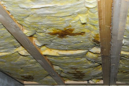 Detail of a wet faulty ceiling insulation in a basement.