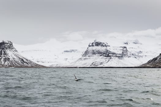 the iceland mountains and lake around snaefellsnes in winter