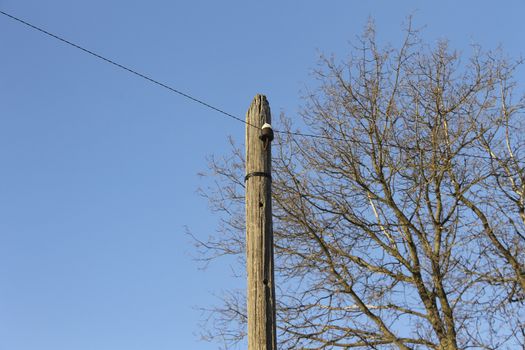 old telegraph pole