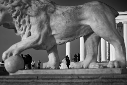Photo scenes with a sculpture of a lion and the wedding was done in the afternoon, when Estesstvenno lighting. Was used for filming: a tripod.