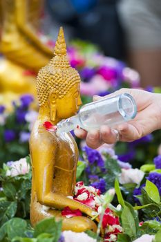 People pouring a water to Buddha statue in Songkran festival tradition of thailand. Photo: Amnarj2006/ yaymicro.com