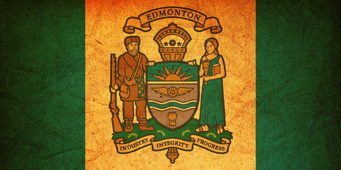 some very old vintage flag of edmonton