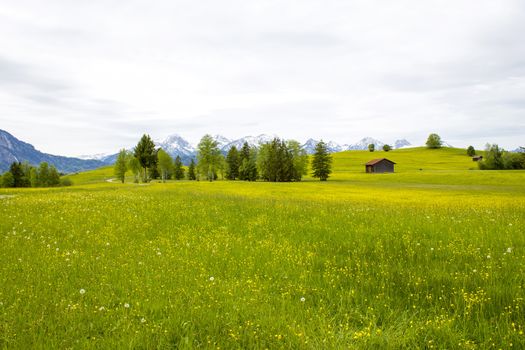 lovely panorama in the alps in Germany