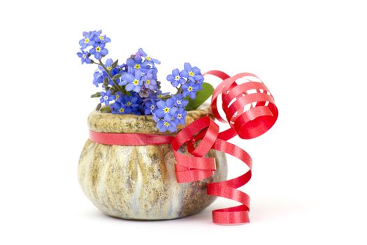 forget me not flowers