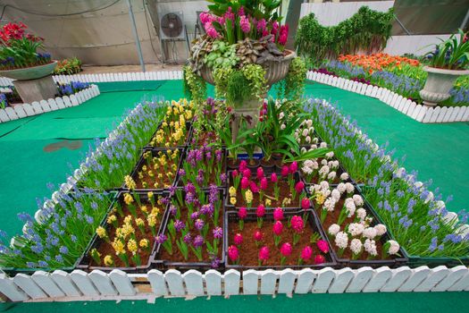 Indoor garden in thailand