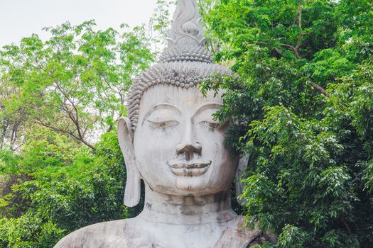 buddha watpasawangboon in thailand.