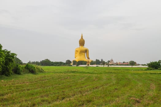rice field and wat muang giant buddha in angthong province, thailand