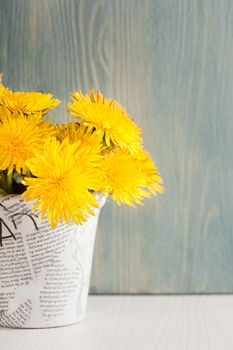 Dandelions in a news paper pot on white blue wooden background 