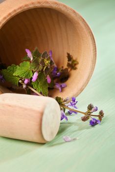 Fresh herbs in a wooden mortar on a mint wooden table 