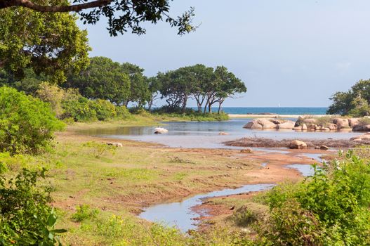 Ocean view from Yala National Park in Sri Lanka.