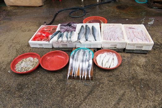 Local fish market in Yeosu, South Korea with fresh fish and sea food on ice
