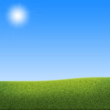 Blue sky and green grass. The natural background