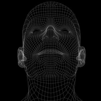 Human head. Wire frame render on black background