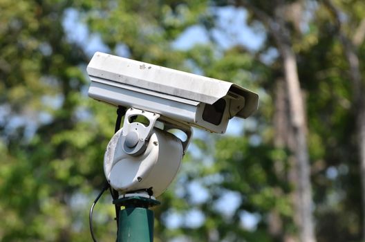 Security Camera or CCTV in the park