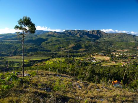 Hilly landscape with lonesome tree near Samaipata village in Bolivia