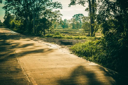 Road and blue sky in  countryside view nature