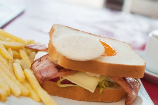 Sandwich with egg and french fries on the table