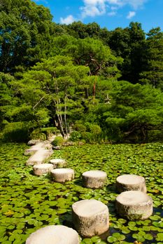 Zen stone path in a Japanese Garden near Heian Shrine.Stones are surrounded by lotus leaves