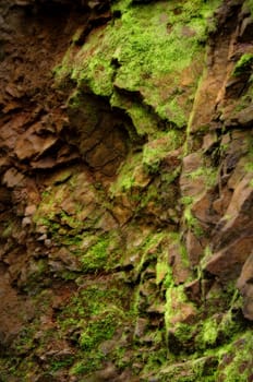 Mossy surface of rock texture, dirty wild stone.