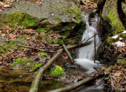 Amazing stream detail with branches and mossy rock.