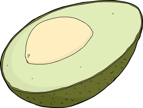 Avocado half with seed and skin on white background