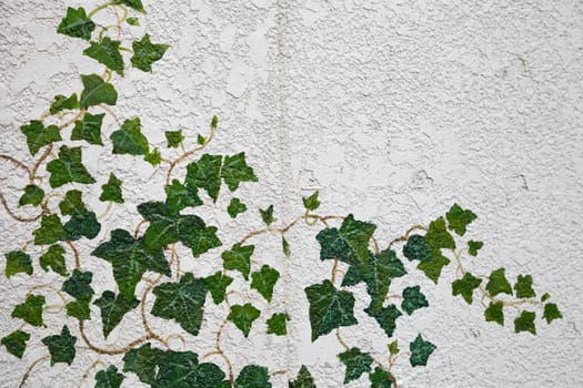 Drawing Leaf on the wall.