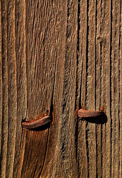 background or texture rusty nails in old wood