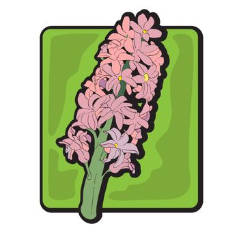 Hyacinth clip art, hand drawn cartoon illustration isolated on white