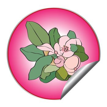 Apple tree flower sticker isolated on white