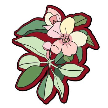 Apple tree flower clip art isolated on white