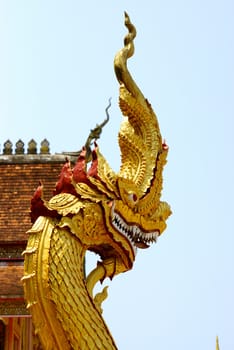 head shot of gold naga in Chiang rai temple,Thailand