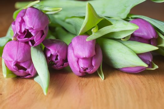 Fresh violet tulips on the wooden table