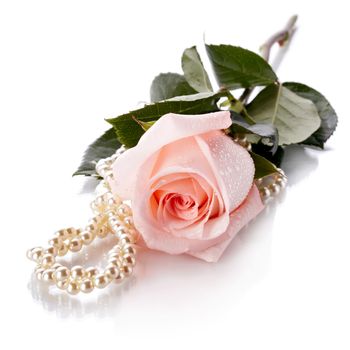 Pink rose. Rose on a white background. Pink flower. Pink rose and pearl beads.