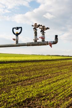 Irrigation system for watering a farm field of lettuce in early spring