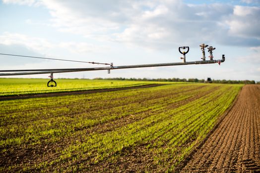 Irrigation system for watering a farm field of lettuce in early spring