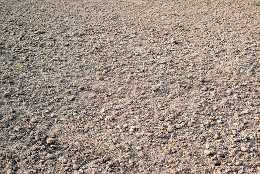 ploughed agriculture field before sowing in spring