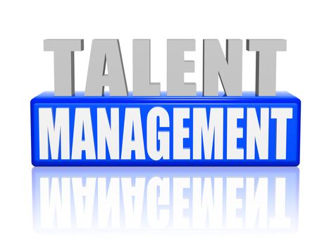 talent management - text in 3d blue and white letters and block, ability growing concept words