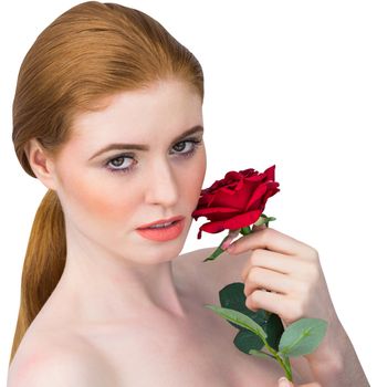 Beautiful redhead posing with red rose on white background