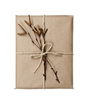 Simple gift package in brown paper decorated with birth branches isolated on white background