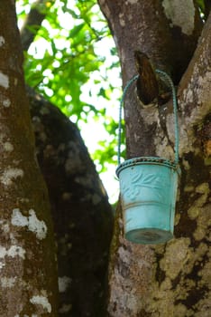 small gargen bucket hanging on a big tree