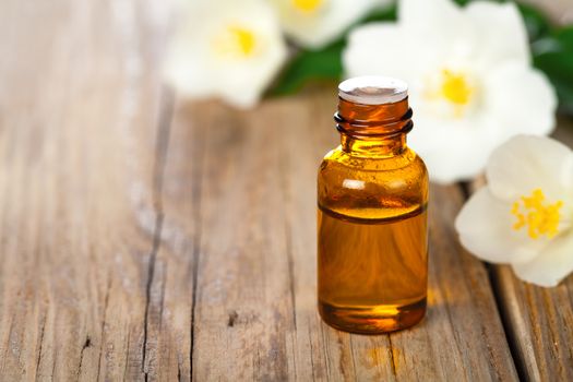 Jasmin essential oil with jasmine flowers on wooden table background. Beauty treatment. Copy space 