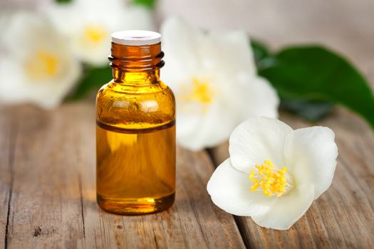 Essential oil with jasmine flowers on table background. Beauty treatment