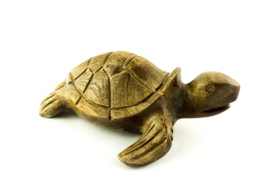 wooden turtle on a white background