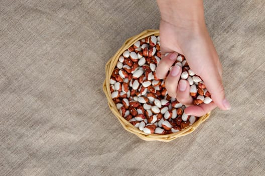 woman palmful of small dried beans over the wicker basket full of beans on linen background