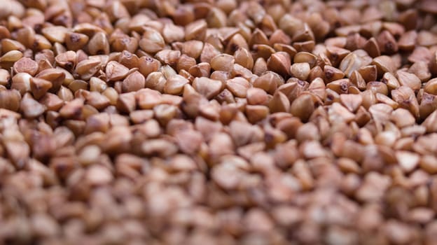 buckwheat groats. textured coating of grains. macro