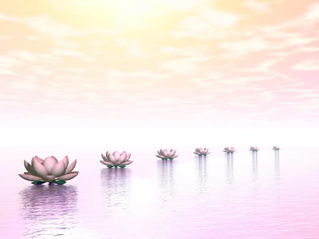 Beautiful water lilies creating a path to the sun by pink polar lights